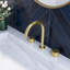 2-handle Bathroom Faucet
