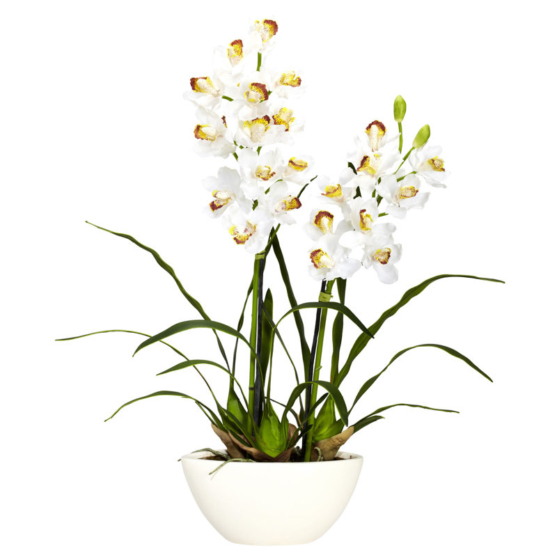 Centre de table Cymbidium Orchids