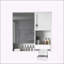 Armoire de salle de bain murale moderne avec rangement polyvalent et design élégant-2016352840