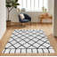 Franke Geometric Shag Area Rug-30014060