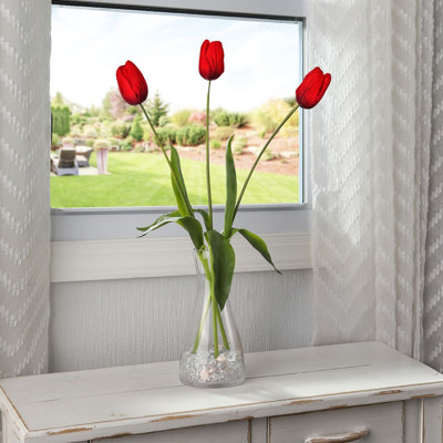 23" Just Cut Holland Tulip