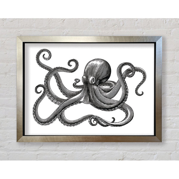 Octapus Frame Bright Star Octopus Illustration - Single Picture Frame Art Prints ...
