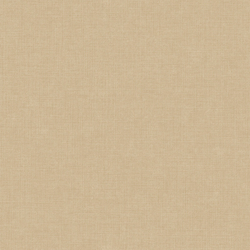 Rouleau de papier peint uni Inia, Beige foncé