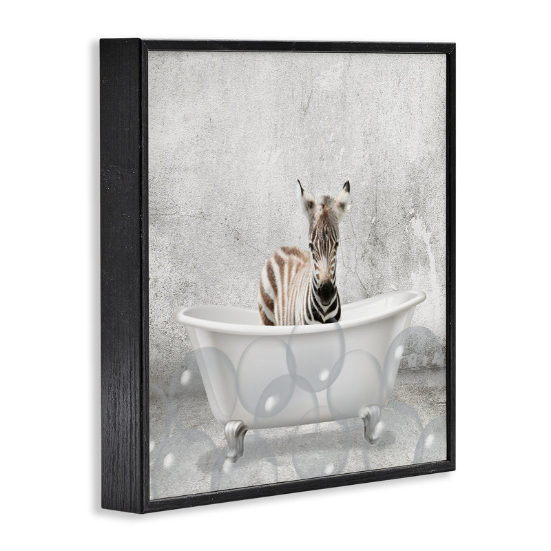 «Baby Zebra Bath Time Cute Animal» par - Impression d'art graphique, Giclée encadrée noir minuit, H 17 po x l 17 po