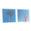 «Blue Timbers Trace Photo», ensemble de 2 verres muraux en acrylique-1331099454