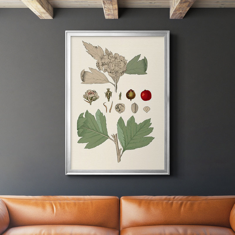 Feuilles et baies IV sur papier, H 42,5 po x l 30,5 po x P 1 po, Argent
