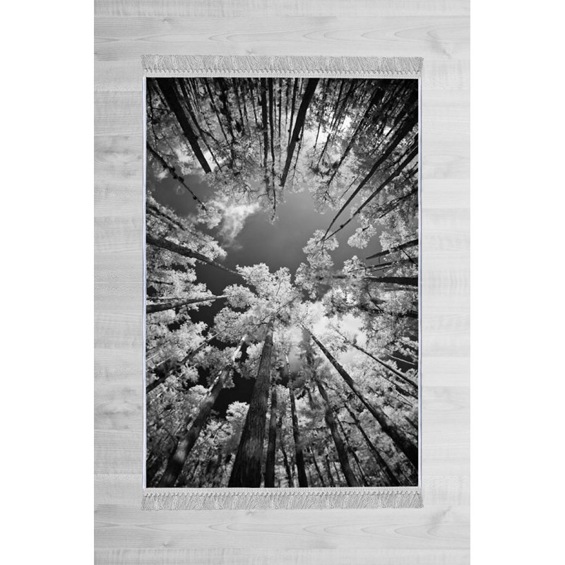 Cantin Floral Area Rug, Rectangle 180 x 280cm