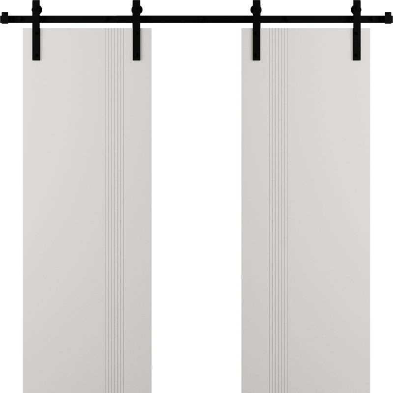 Porte de grange double moderne - ESSENTIAL 0777 - Ensemble de rail de 13 pi - Portes intérieures à panneau plein, 2