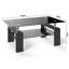 Amyrikal Coffee Table with Storage