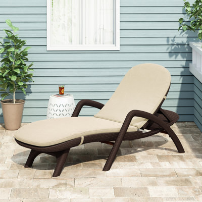 Delano Chaise Lounge Outdoor Seat Cushion by Alwyn Home