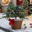 1.97' H Artificial Pine Christmas Tree