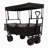 Collapsible Wagon with Canopy-112369139