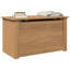 Salayah Accent Trunk