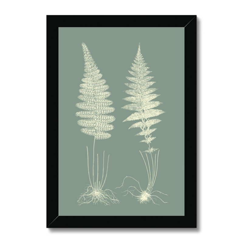 Ferns on Sage VI 1 Piece Painting, 50cm H x 34cm W, Black Framed Paper Print