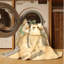Tapis abstrait moderne et contemporain Wyndmoor St Patties lavable à la machine en brun - reliure beige-520677104