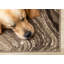 Tapis brun à motif abstrait Fresno-102211039
