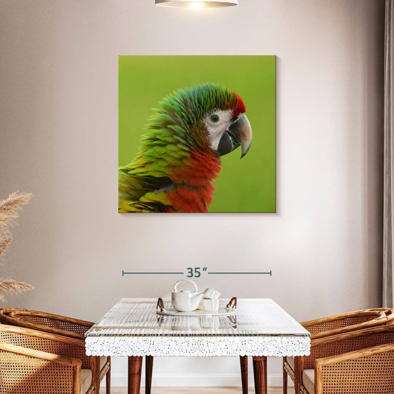 Brampt Macaw Bird Head, 36" H x 36" W