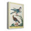 Toile tendue avec châssis de qualité supérieure Pastel Birds III - prête à être accrochée-816003372