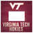 Virginia Polytechnic Institute University selected