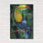  «Toucan» par Tim Jeffs, art mural en métal, 24 po x 36 po-1325833600