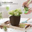 Pots à plantes d'intérieur avec drainage-124512127