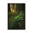 Peeking by Peter Coskun - Floater Frame Gallery-Wrapped Canvas Giclée on Canvas-1557683369-1557683372