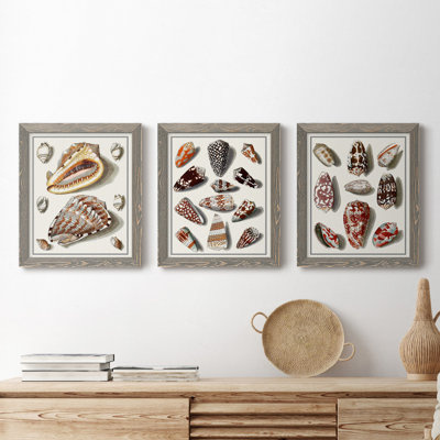 Laundry Room I - Ensemble de 3 reproductions d'art sur toile