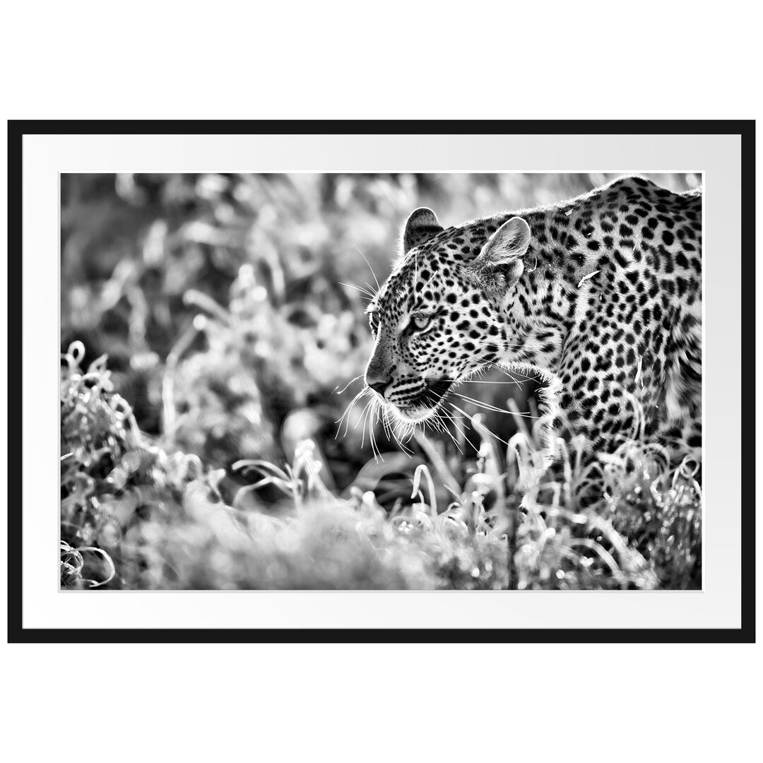 Gerahmtes Poster Jagender Leopard