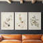 Pl. 194 Canadian Titmouse - Ensemble de 3 reproductions d'art sur toile-820057459-820057464