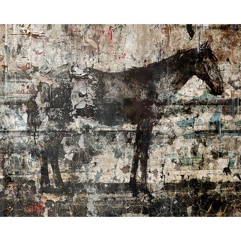 Stallion De Constructed I Print by Chelsea Art Studio, Plexi, 40" H x 50" W x 1.5" D