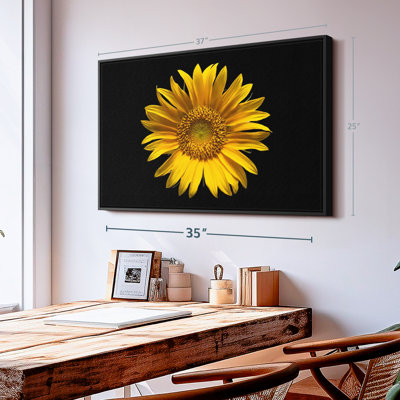 Tournesol sur toile noire