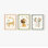 Ensemble d'impression sur papier Safari - impressions sans cadre