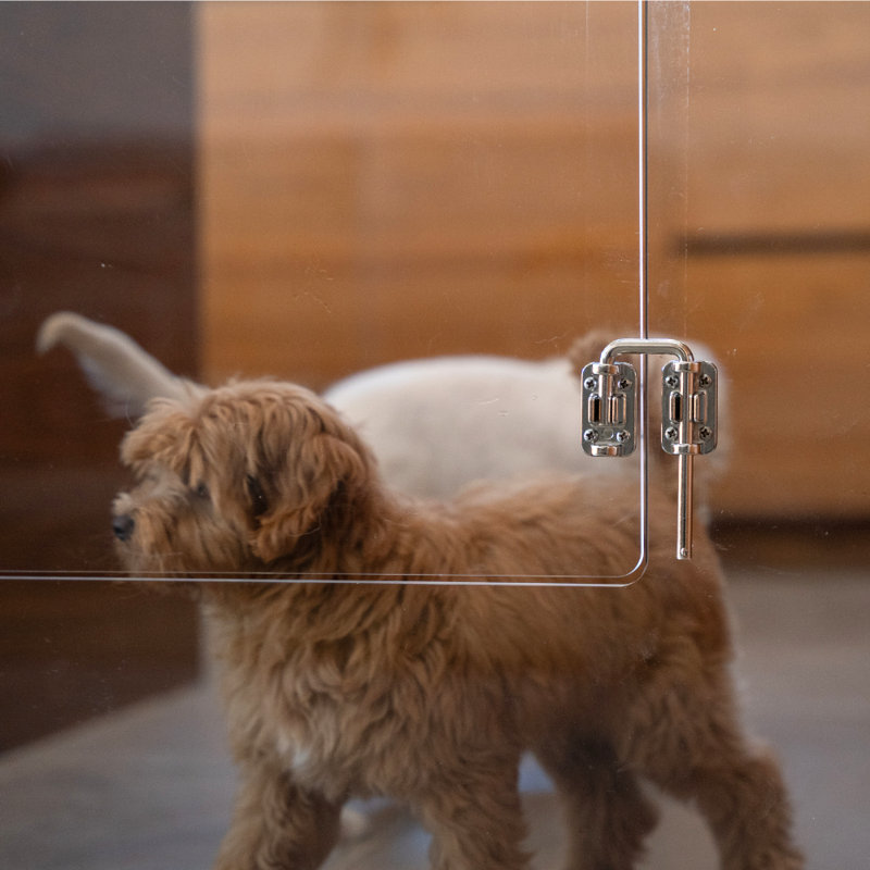 Clear Freestanding Pet Gate with Door, 36" W x 30" H
