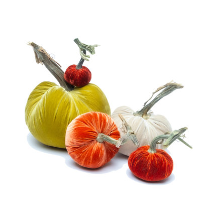 Silk Velvet Pumpkins - Large Autumn Set