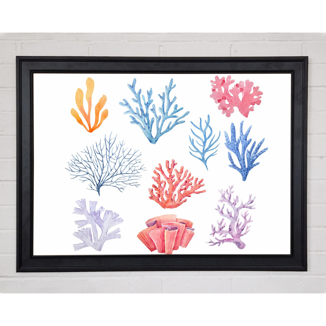 Gerahmtes Leinwandbild Sea Life Coral