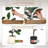 Artificial Rubber Tree with Realistic Magnolia Flowers - White Planter Included - Low-Maintenance Faux Plant for Indoor/Outdoor Home Office Decor - Gift Idea-1585572366