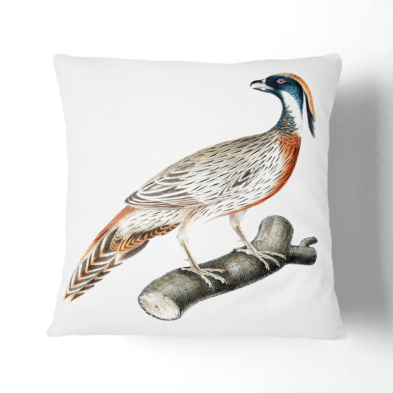 Square Throw Cushion, 55cm H x 55cm W x 20cm D
