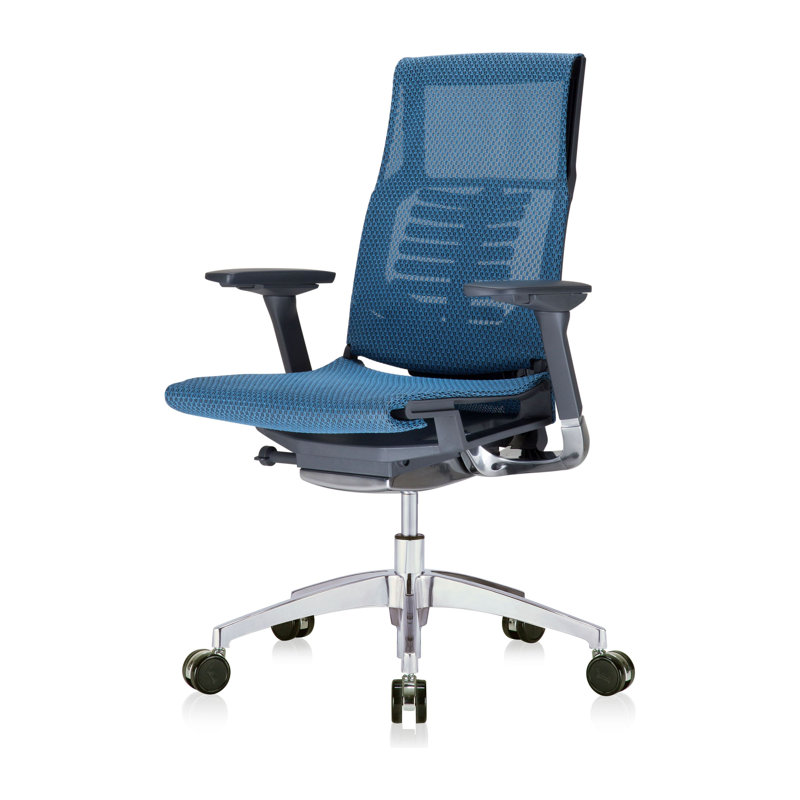 Fauteuil de direction ergonomique en filet, Bleu, Noir