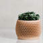 8 po Pot de fleurs Honeycomb-137721286-137721282