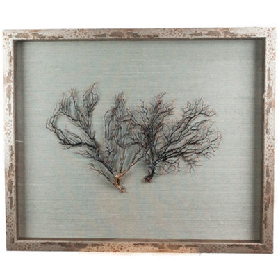 Sealife Print
