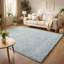 Ainsley Plain Living Room Shaggy Area Rug Modern Soft Pile Polyester Rug-1957084375-1957069052