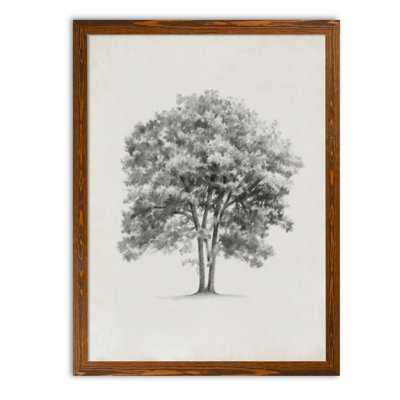 « rétro arbor study ii » par paul cezanne-cadre photo, reproduction d’art