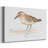 Pretty Piper II-Gallery Wrapped Canvas-589107557