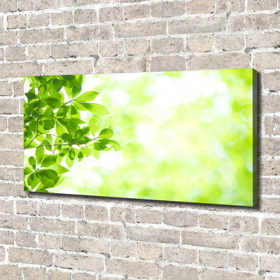 Leaves - Wrapped Canvas Print