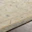Daucourt Wool Oriental Area Rug-468614859