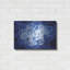 «Blue Succulent I» par Lori Deiter-1280216151