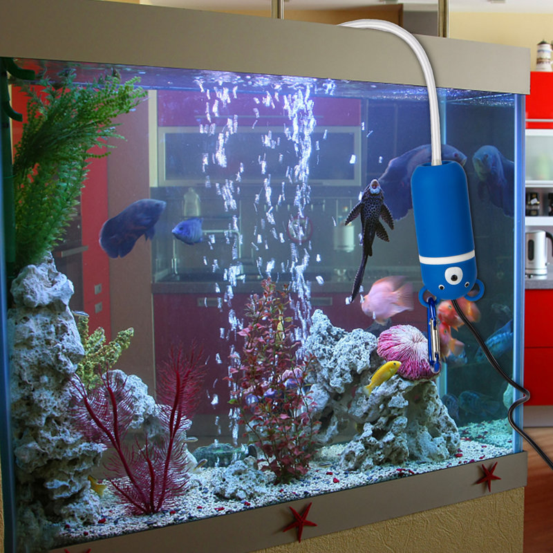 Accessoire pour aquarium Hildra, Bleu