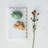 Marble Cheese Board With Scalloped Edge
