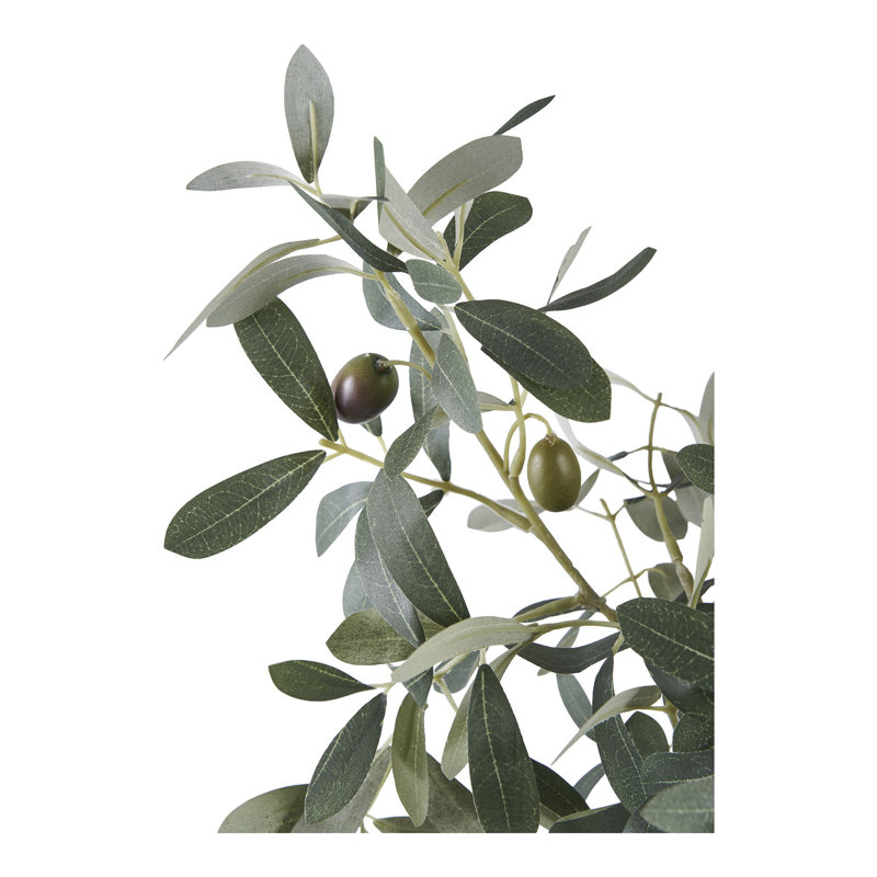 Andreino 61cm Olive Tree Plant