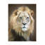 Art sur toile, bolognaise Linda D Lester-93221402